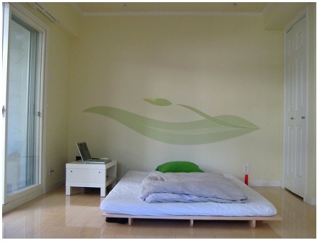 PICTURA DECORATIVA 